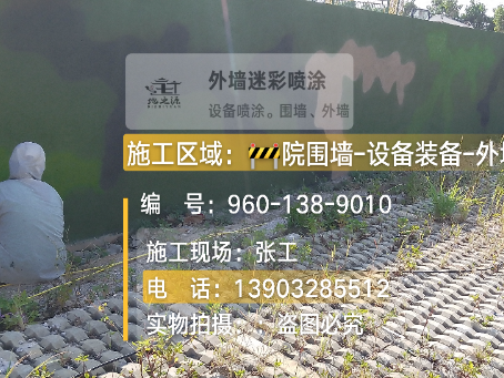 文山外墙迷彩漆材料价约 45-60 元 /k